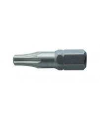 Końcówki wkrętakowe TORX T10, 25mm, 2 szt (15D)