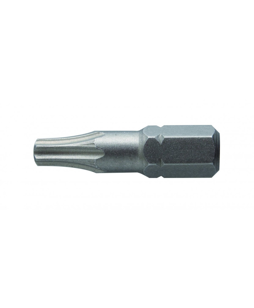 Końcówki wkrętakowe TORX T10, 25mm, 2 szt (15D)