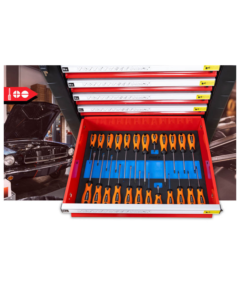 SZAFKA NARZĘDZIOWA WARSZTATOWA NA KÓŁKACH WYPOSAŻENIE 338El. FR4064 NA PIANCE