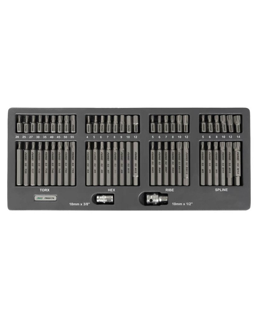 Zestaw bitów 60 el. Torx Imbus Spline Ribe FR00170
