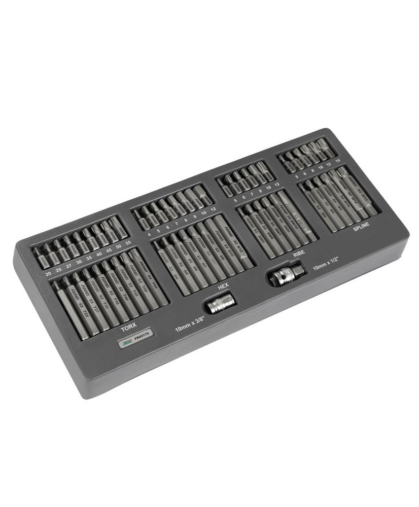 Zestaw bitów 60 el. TORX IMBUS SPLINE RIBE + adaptery FR00170