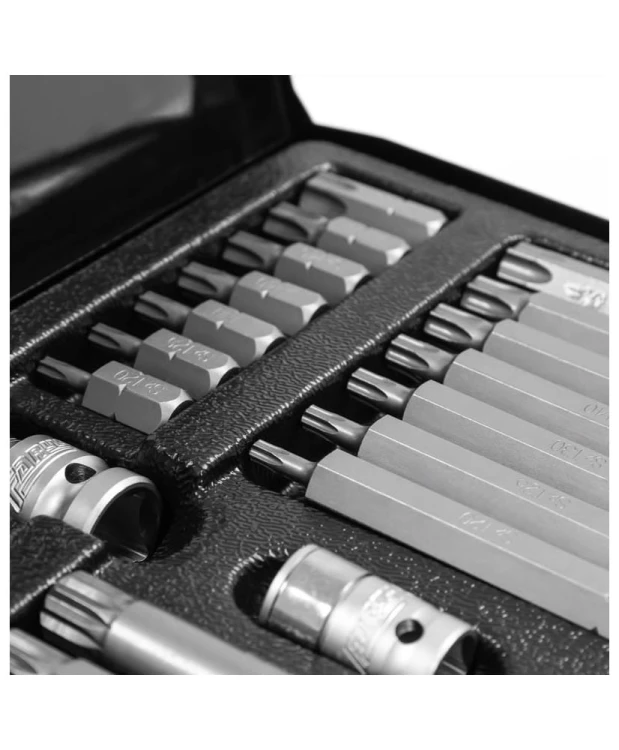 Zestaw bitów  bez obsady torx, imbus,spline 40szt. S2 FR2351