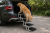 schody-skladane-dla-psa-6-stopni-aluminium-fr9511-dog.png