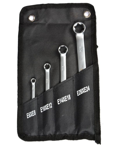 Klucze płasko oczkowe Torx E6-E24 zestaw FR1995