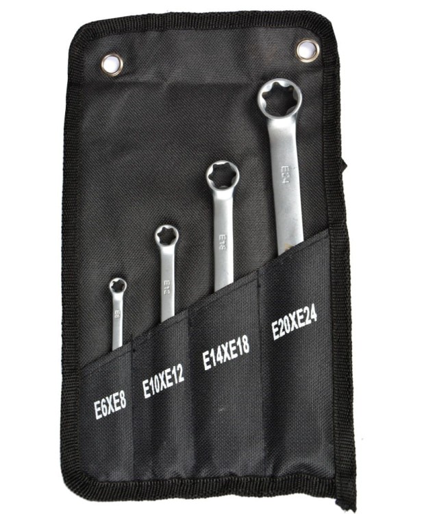 Klucze płasko oczkowe Torx E6-E24 zestaw FR1995